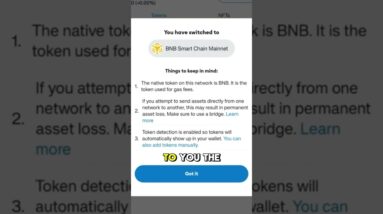 How to Connect Binance Smart Chain to MetaMask Wallet (BNB & BSC)