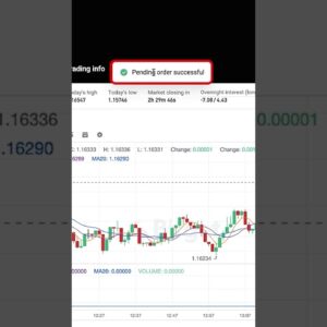 How to Trade Forex, Gold, Silver & Stocks on Bitget TradFi