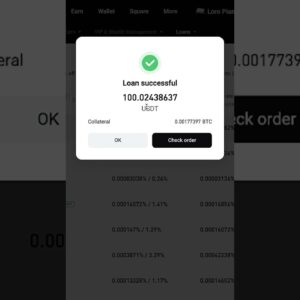 How I got a Crypto Loan on Bitget